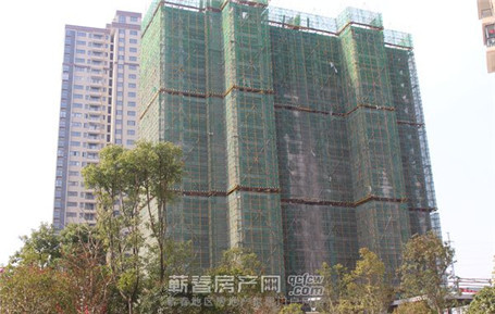信达·畔山华府
